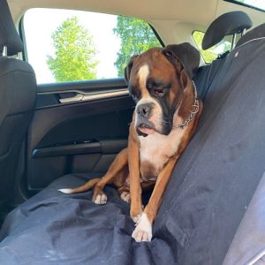 Trixie prostirka za auto za pse