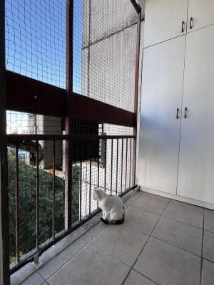 Zelena mreža za mačke