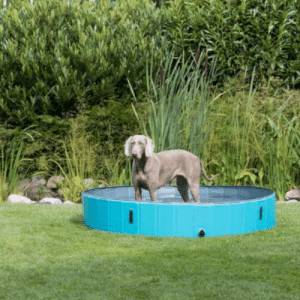 Bazen za pse