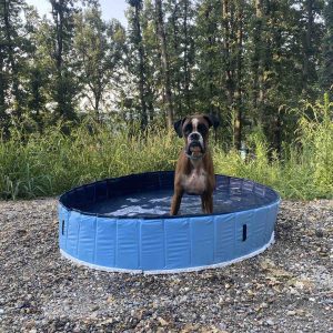 Bazen za pse 160 cm