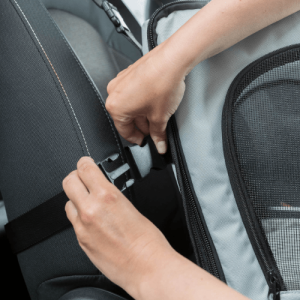 Auto sedište za pse 13174