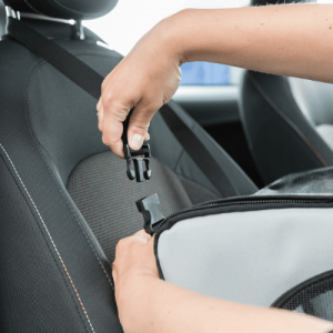 Auto sedište za pse 13174