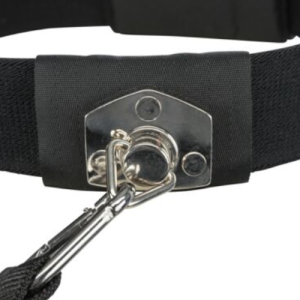 Pojas sa povocem za pse