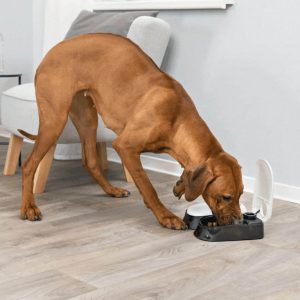 Automatske hranilice za pse i mačke