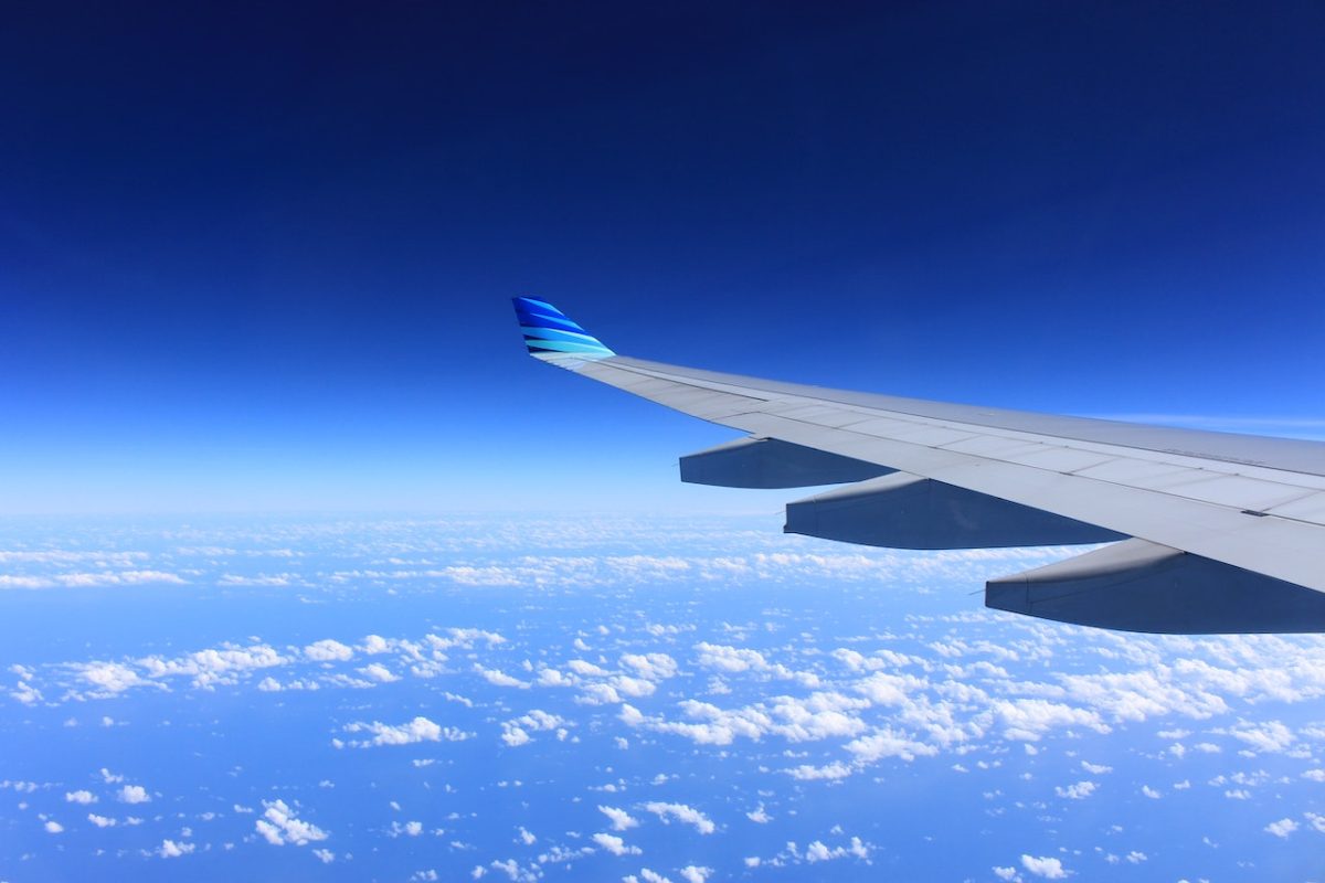 Prevoz kućnih ljubimaca avionom
