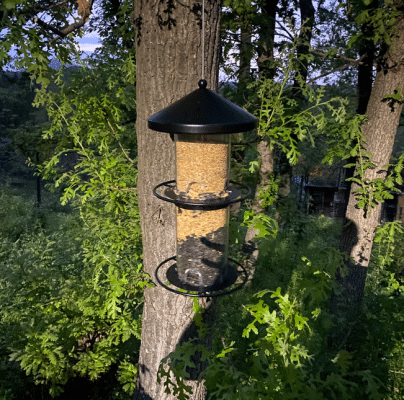 Hranilica za divlje ptice