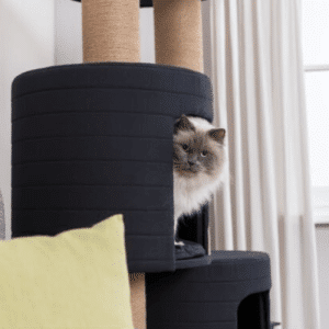 Penjalica za mačke XXL Teites 148 cm