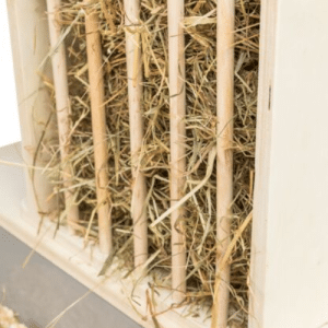 Hranilica za zečeve, morsko prase, činčile