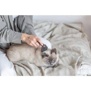 furminator za macke