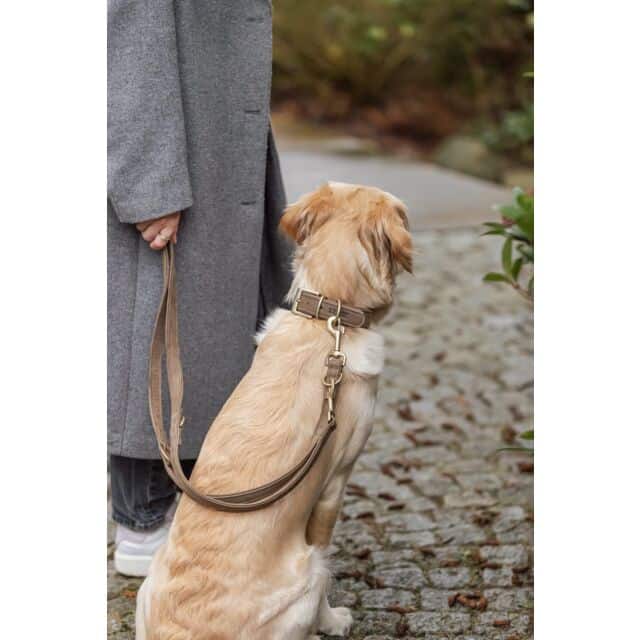 Trixie kožni podesivi povodac-podesiv u tri dužine-više boja BESPLATNA DOSTAVA - Slika 12